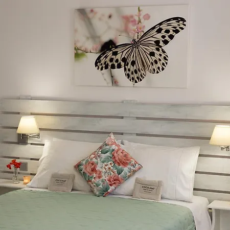 莱塔公寓 * 菲尼卡斯