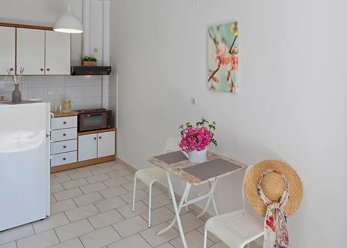 Letta's * ファイニカス