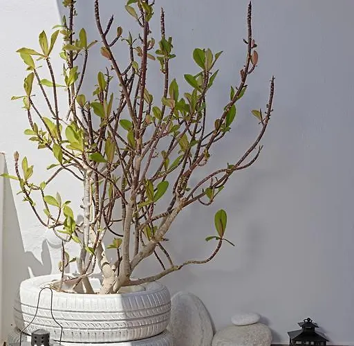 アパート Letta's *