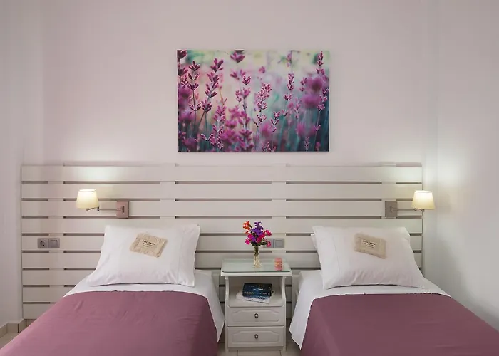 Letta's ファイニカス