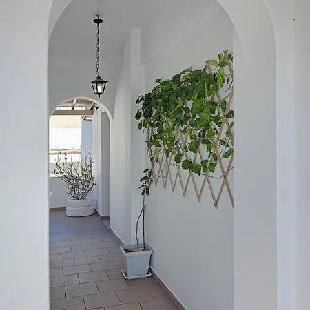 Apartment Letta's