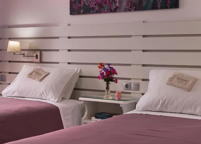 Letta's Apartment Finikas (Syros)